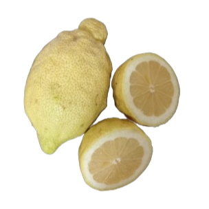 Limones (10kg)